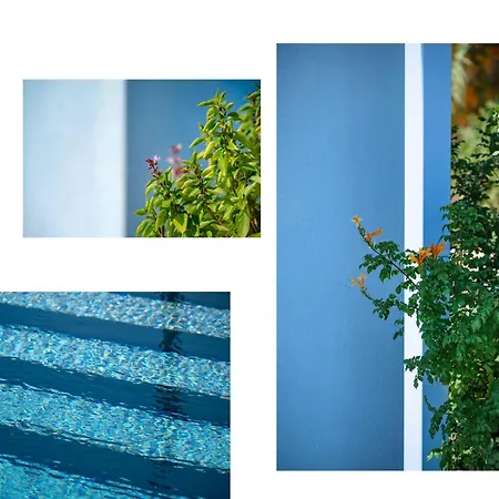 Antreas Mentoros Karavádhos