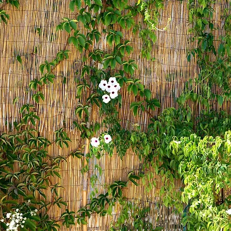 Villa Antreas Mentoros *